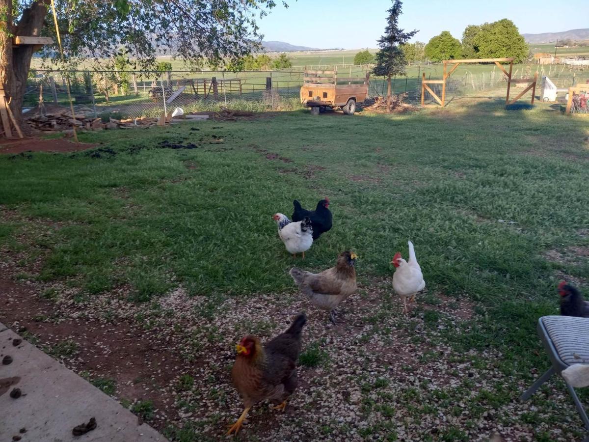 Red Creek Inn And Farm Parowan Екстериор снимка